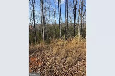 208 Lake Forest Drive, Ellijay, GA 30540 - Photo 7