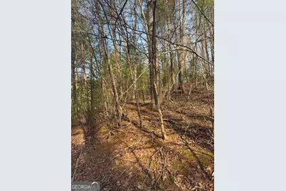 208 Lake Forest Drive, Ellijay, GA 30540 - Photo 13