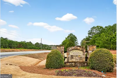 215 Duck Drive, Senoia, GA 30276 - Photo 57