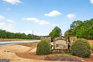 215 Duck Dr, Senoia, GA 30276 - Photo 57