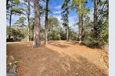 423 Richards, Millen, GA 30442 - Photo 27