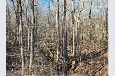 1183 Wilson Bridge Road, Homer, GA 30547 - Photo 19