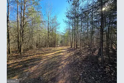 1183 Wilson Bridge Road, Homer, GA 30547 - Photo 17