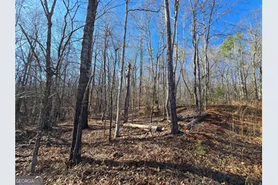 1183 Wilson Bridge Road, Homer, GA 30547 - Photo 15