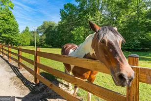 1051 Woodland, Sautee Nacoochee, GA 30571 - Photo 59