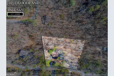 1051 Woodland, Sautee Nacoochee, GA 30571 - Photo 43