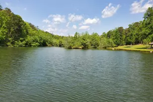 1051 Woodland, Sautee Nacoochee, GA 30571 - Photo 49