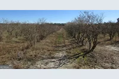 1019 D H Alderman Road, Moultrie, GA 31788 - Photo 19