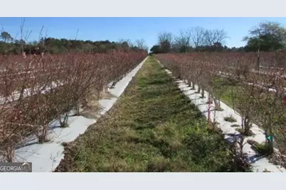 1019 D H Alderman Road, Moultrie, GA 31788 - Photo 17