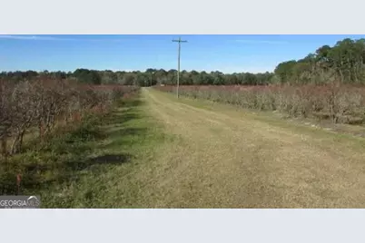 1019 D H Alderman Road, Moultrie, GA 31788 - Photo 43