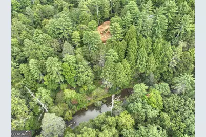 456 Whispering Pine Lane, Cherrylog, GA 30522 - Photo 53