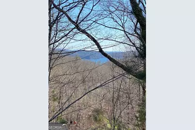 439 Buck Creek Road, Ellijay, GA 30540 - Photo 3