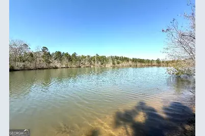 0 Bill Glenn Road, Swainsboro, GA 30401 - Photo 7