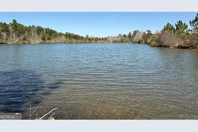 0 Bill Glenn Road, Swainsboro, GA 30401 - Photo 3