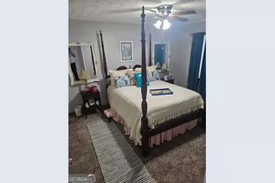 215 Carl Parker Road, Hampton, GA 30228 - Photo 17