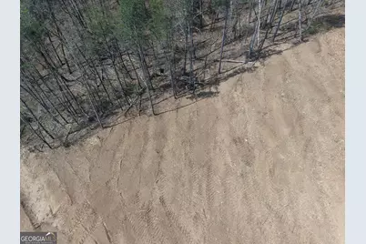 0 Young Loop #7206 PARCEL C, Fairmount, GA 30139 - Photo 9