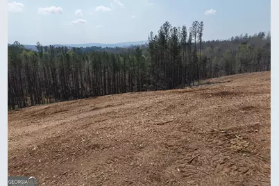 0 Young Loop #7206 PARCEL C, Fairmount, GA 30139 - Photo 1