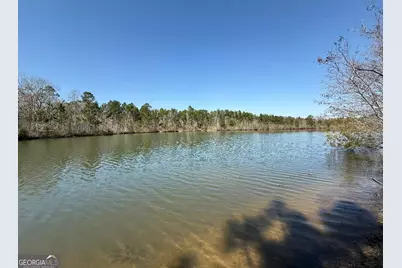 0 Bill Glenn Road, Swainsboro, GA 30401 - Photo 3