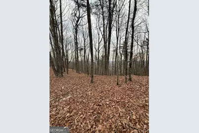 Lot 6 Westmoreland Road, Cleveland, GA 30528 - Photo 5