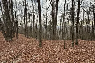 Lot 7 Westmoreland Rd, Cleveland, GA 30528 - Photo 1