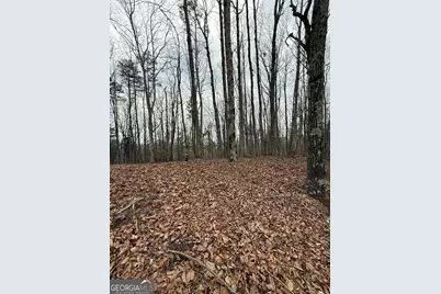 Lot 8 Westmoreland Road, Cleveland, GA 30528 - Photo 5