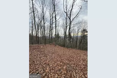 Lot 8 Westmoreland Road, Cleveland, GA 30528 - Photo 3