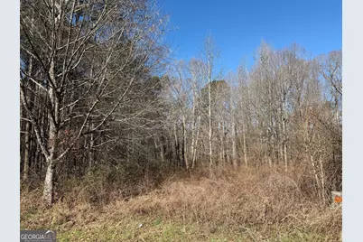 611 McDowell Lane, Bethlehem, GA 30620 - Photo 7