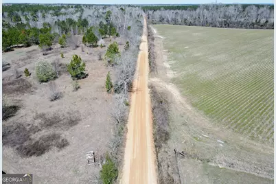 0 Bill Glenn Road, Swainsboro, GA 30401 - Photo 3