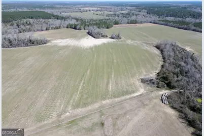 0 Bill Glenn Road, Swainsboro, GA 30401 - Photo 5