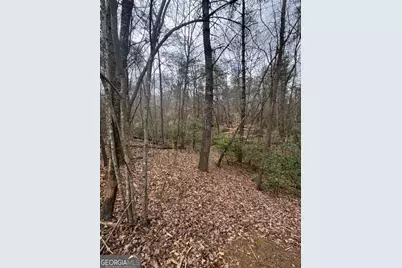 Lot 16R Leatherwood Mountain Road, Cherrylog, GA 30522 - Photo 7