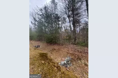 Lot 16R Leatherwood Mountain Road, Cherrylog, GA 30522 - Photo 9