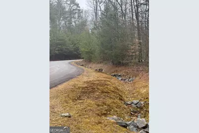 Lot 16R Leatherwood Mountain Road, Cherrylog, GA 30522 - Photo 11