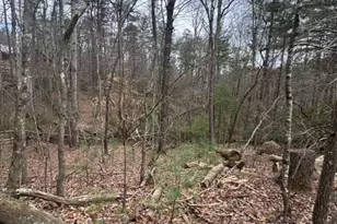 Lot 16R Leatherwood Mountain Rd, Cherrylog, GA 30522 - Photo 1