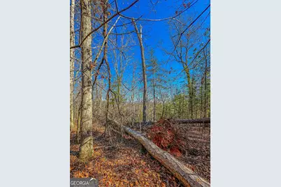 0 River Highlands Road, Dahlonega, GA 30533 - Photo 15