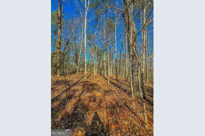 0 River Highlands Road, Dahlonega, GA 30533 - Photo 11