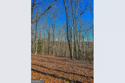 0 River Highlands Road, Dahlonega, GA 30533 - Photo 19