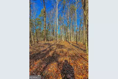 0 River Highlands Road, Dahlonega, GA 30533 - Photo 13