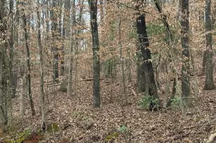 4600 E Reed Rd, Gainesville, GA 30507 - Photo 1