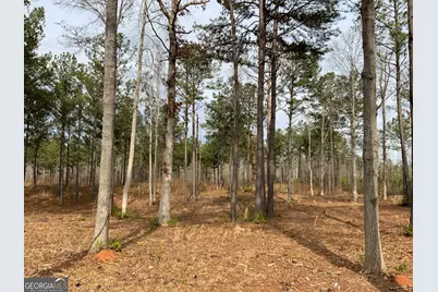 145 Falls Lane, Milledgeville, GA 31061 - Photo 29