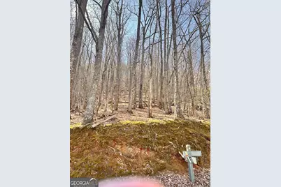 8041 Wilderness Parkway, Jasper, GA 30143 - Photo 7