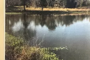 0 Henry-Mimbs, Hazlehurst, GA 31539 - Photo 1