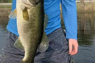 2464 &amp 2470 Savannah Hwy, Sylvania, GA 30467 - Photo 11