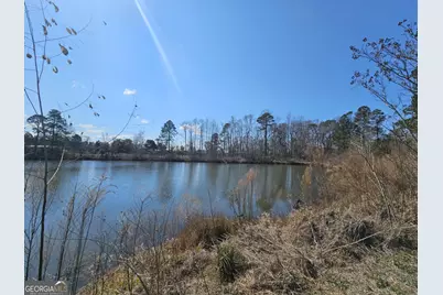 2464 &amp; 2470 Savannah Highway, Sylvania, GA 30467 - Photo 9