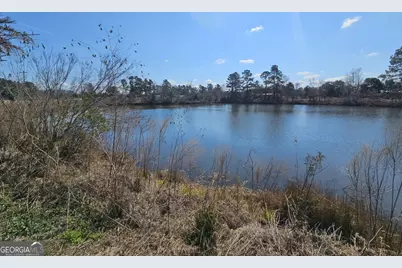 2464 &amp; 2470 Savannah Highway, Sylvania, GA 30467 - Photo 9