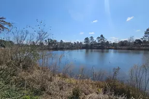 2464 &amp 2470 Savannah Hwy, Sylvania, GA 30467 - Photo 9