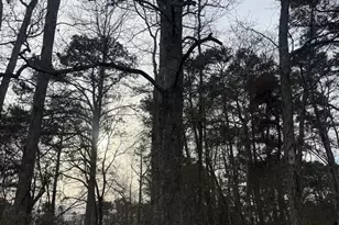 158 Alexander Rd, McDonough, GA 30253 - Photo 1