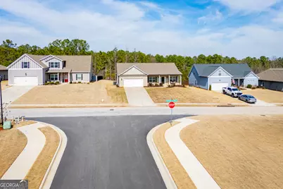 8818 St Andrews Parkway, Winston, GA 30187 - Photo 67