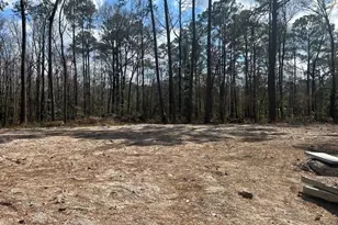 0 Little McCall Rd, Rincon, GA 31326 - Photo 1