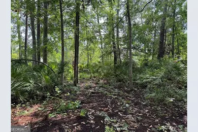 Lot 23-D Black Tern Way, Waverly, GA 31565 - Photo 3