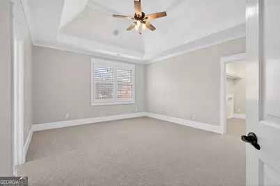 47 Fern Leaf Way, Newnan, GA 30265 - Photo 85